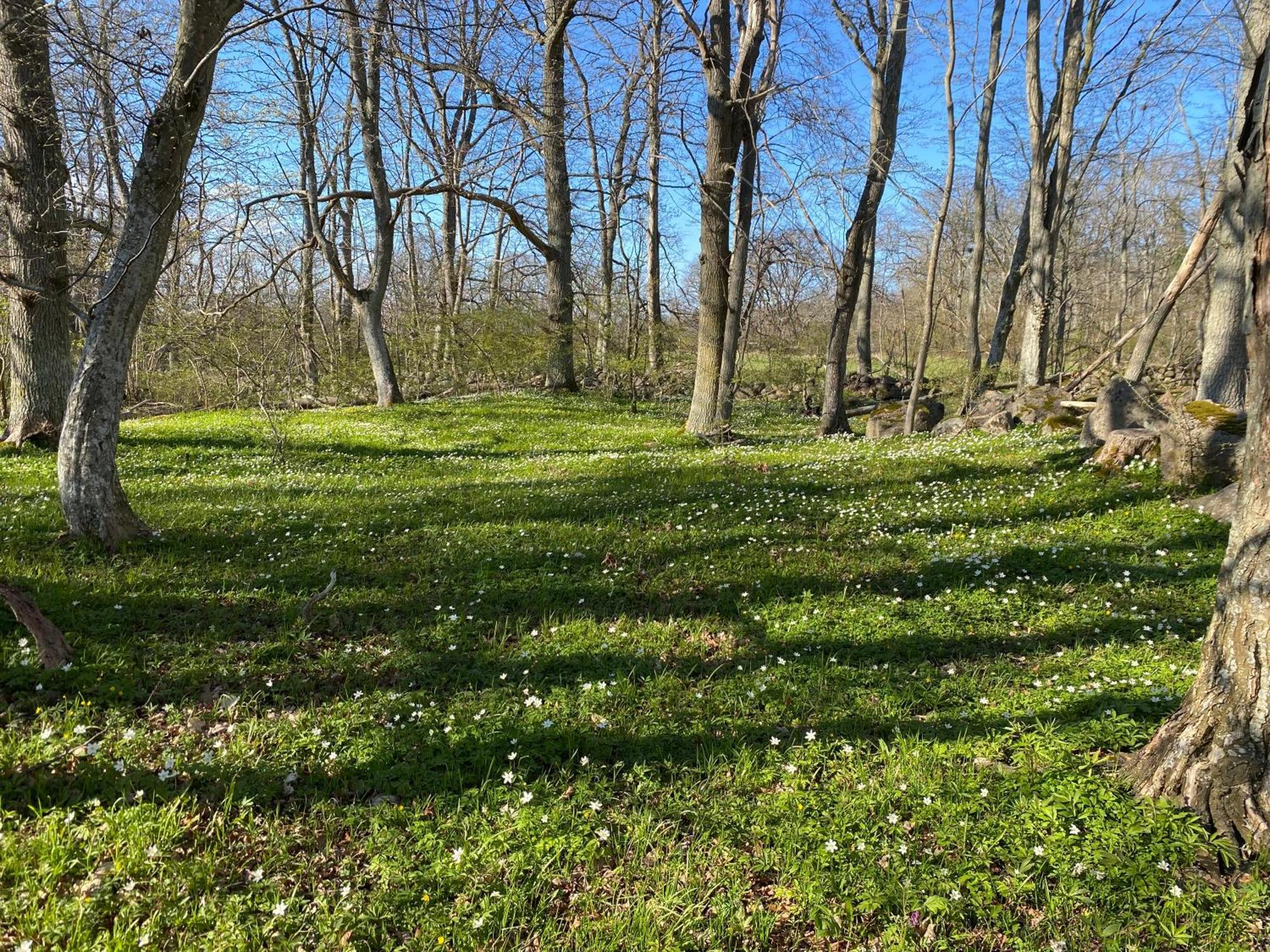 Gard Halltorps Hage Borgholm Εξωτερικό φωτογραφία