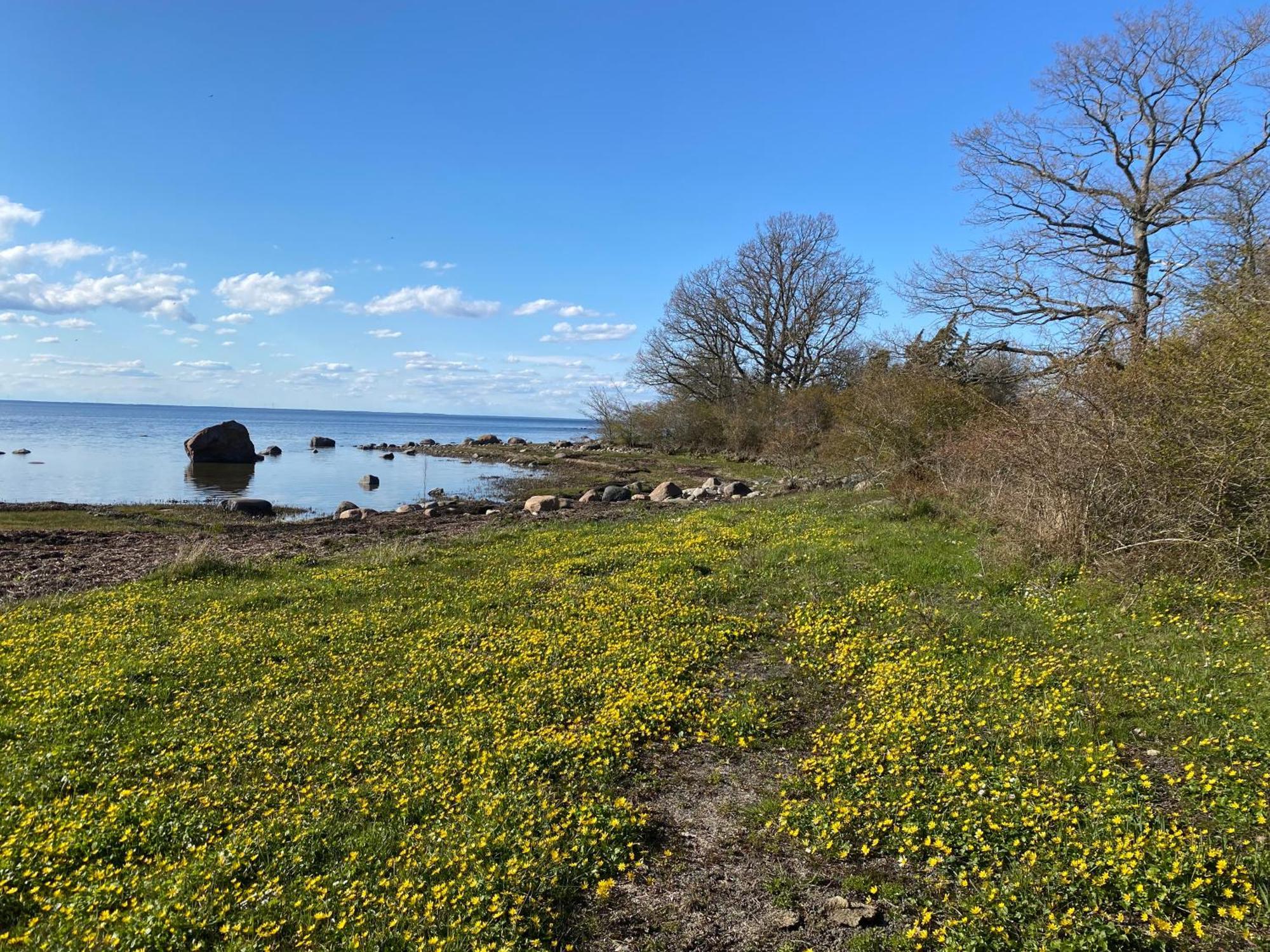 Gard Halltorps Hage Borgholm Εξωτερικό φωτογραφία