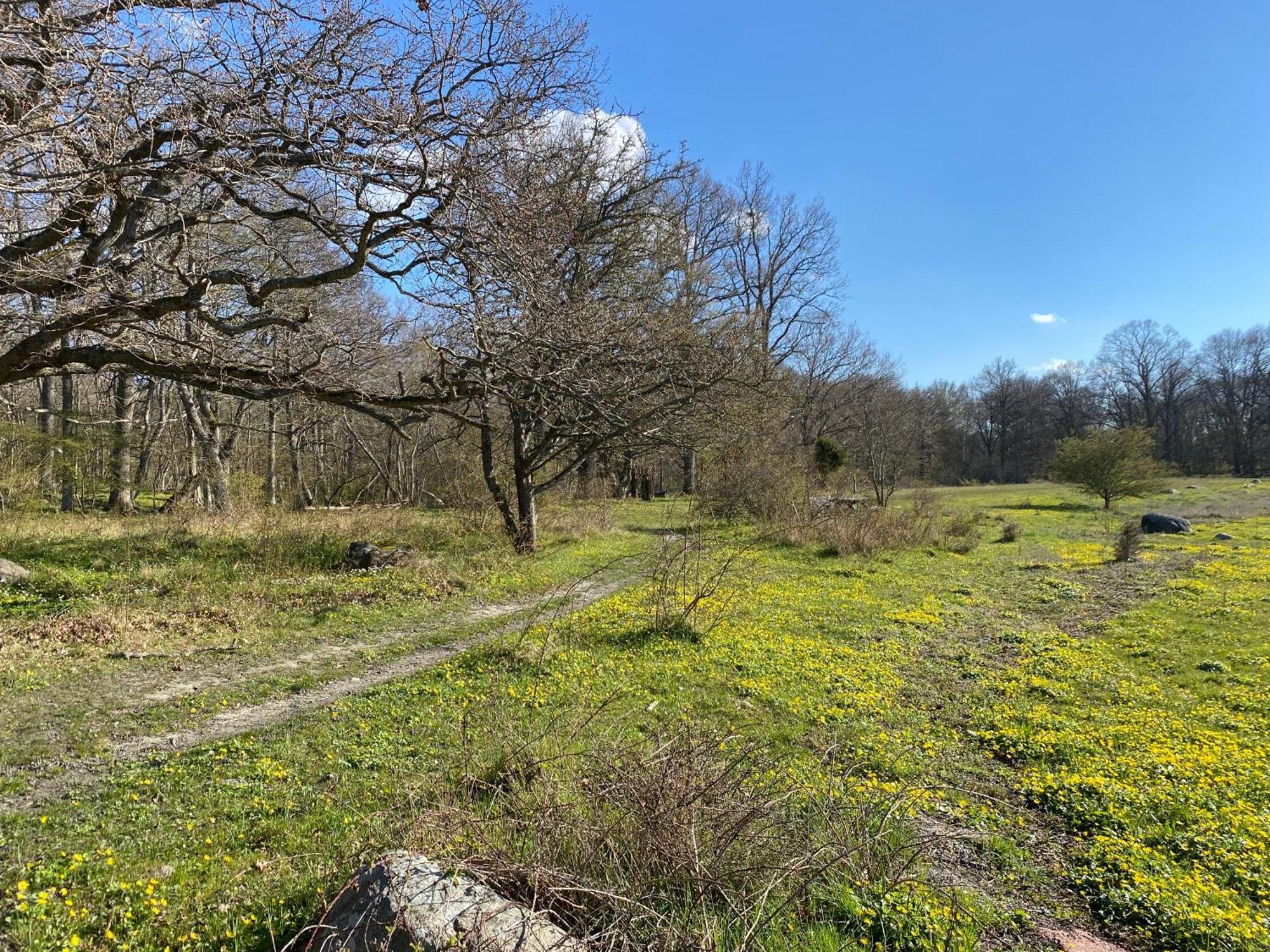 Gard Halltorps Hage Borgholm Εξωτερικό φωτογραφία